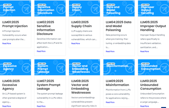 LLM Top 10 - Image Source: https://genai.owasp.org/llm-top-10/